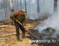 Глава Тувы потребовал от Госкомлеса принимать серьезные меры по предупреждению пожаров