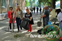 В Кызыле в борьбу с бурьяном включились предприниматели, студенты и школьники