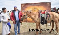 Первое место в конкурсе на лучшее конское снаряжение - у Айбеса Олчея (Тува)