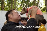 В День города в парке обществом защиты животных "Хатико" проведена акция "Забери меня домой"