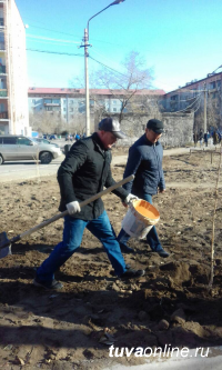 «Городская среда»: Дворы Кызыла приросли березами и елями