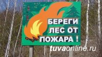 В борьбе с лесными пожарами Глава Тувы потребовал поставить на первый план усиление профилактических работ и тренировок