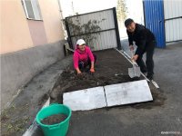 В Кызыле в Первомай все желающие могли приобрести саженцы, рассаду, семена, вазоны для благоустройства дворов столицы