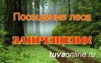 В Туве до 6 июня в целях противопожарной безопасности  введен запрет на посещение лесов