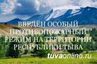 В Туве продлевается особый противопожарный режим