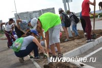 Школьники Кызыла участвуют в преображении одной из самых в недавнем прошлом «убитых» дорог столицы – Ангарского бульвара