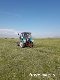 Тува: В районном состязании Чаа-Хольского кожууна по кормозаготовоке лидирует районный центр