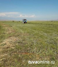 Тува: В районном состязании Чаа-Хольского кожууна по кормозаготовоке лидирует районный центр