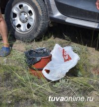 В Туве пресечена попытка вывоза лечебной грязи с озера Каък-Холь поблизости от соленого озера Сватиково