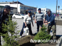 В Туве проходит акция "Живи, лес!"