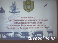 Почти в 3 раза увеличилось количество уголовных дел по фактам незаконной охоты