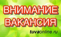 Центр занятости Кызыла: срочно требуются водители с категорией D