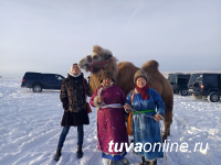 Журналисты побывали на чабанской стоянке «Кара-Чыраа» в часе езды от Кызыла