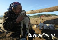 Пенсии селянам, проработавшим более 30 лет в сельском хозяйстве, вырастут в 2019 году