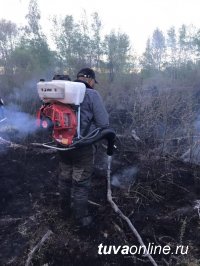 В Туве лесники, спасатели, военнослужащие смогли защитить три села от лесных и степных пожаров, усиленных шквалистым ветром