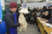 В кожуунах Тувы создаются опорные хозяйства по выделке шкур, создается сеть по приемке шкур на выделку