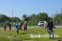 В Кызыле Совет микрорайона «Правобережный» подал пример борьбы с разросшимся бурьяном