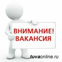 В Хурале представителей Кызыла две вакансии главных специалистов