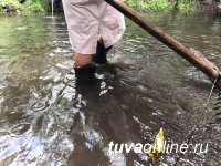 13 сентября в Туве проходит экологический марафон «Чистые берега Сибири»