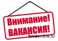 В Департамент финансов мэрии г. Кызыла требуется начальник отдела учета и отчетности