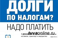 В Туве объявлена акция по уплате имущественных налогов