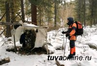 В Туве спасатели нашли сборщиков кедровых шишек, не выходивших на связь