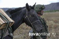 В Туве стартовала подготовка к конкурсу «Конный марафон»