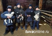 В Туве в разгар окотной кампании к зимним стоянкам расчищают дороги, там, где не проходит техника, - вручную