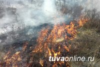 В Туве сельчанин, подпаливший степь, заплатит штраф