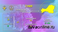 В Туве проведено 10490 лабораторных исследования на COVID-19