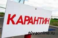 В Туве коэффициент распространения вируса снизился до 1,1 при норме 1,0