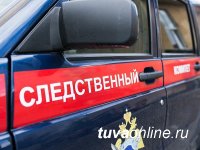 В Туве родители обнаружили младенца мертвым