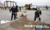 Зеленый пояс вокруг нового Многопрофильного медицинского центра Тувы