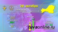 Тува. На 28 октября за сутки зарегистрировано 80 новых случаев заболевания COVID-19