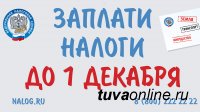 В Туве продлили месячник по сбору имущественных налогов