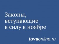 Законы и правила, вступающие в силу в ноябре 2020 года