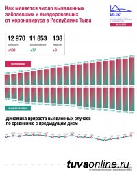 В Туве за сутки выявлено 103 новых случая Covid, в целом по России - 29039