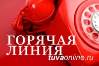 Кадастровая палата Тувы проведет для жителей «горячую линию»