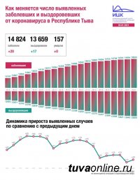 В Туве за сутки на 4 января выявлено 20 новых случаев заболевания Covid, месяц назад 4 декабря - 93