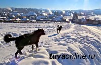 В Туве 17 января ночью до 39°С мороза, переменная облачность, туман, гололедица