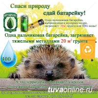 Собранные в 2020 году в Туве 2000 использованных батареек направлены на утилизацию в Челябинск