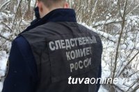 В Туве умер 4-месячный ребенок, мать которого не сразу обратилась к врачам