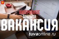 В Мэрии Кызыла вакансия начальника отдела