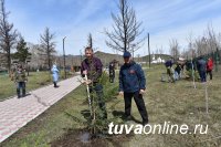 Минстрой Тувы и местные власти Пий-Хема планируют защитить благоустройство главного парка города по федеральной программе