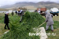 Тува. Сенатор Дина Оюн побывала в приграничном с Монголией монгунтайгинском кожууне