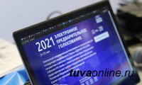 В Туве стартовало предварительное голосование по выдвижению кандидатов в депутаты Госдумы