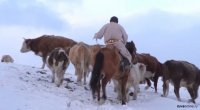 В Туве в рамках губернаторского проекта «Новая жизнь» 81 оступившийся гражданин получил поддержку от властей республики