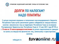 В Туве продлили месячник по уплате налоговой задолженности по имущественным налогам физических лиц