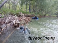 Водолазы тувинского спасательного отряда в районе села Барлык ведут поиски утонувшей девочки