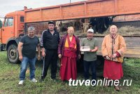 В Бурятии раздали быков тувинской породы